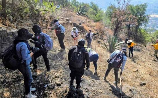 CDMX avanza en segundo d&iacute;a de b&uacute;squeda en el Cerro del Chiquihuite con m&aacute;s de 6 mil m² recorridos