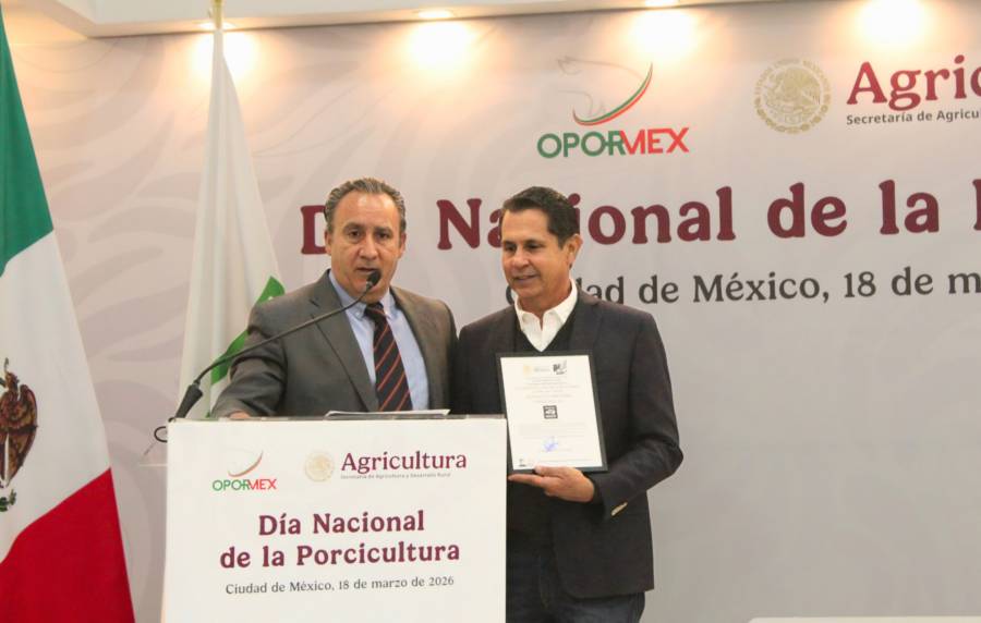 Porcicultores mexicanos fortalecen la soberanía alimentaria con el sello “Cerdo mexicano” y el Plan México para la porcicultura