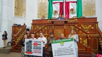 Partido Verde propone incluir protecci&oacute;n animal en la Ley General de Educaci&oacute;n