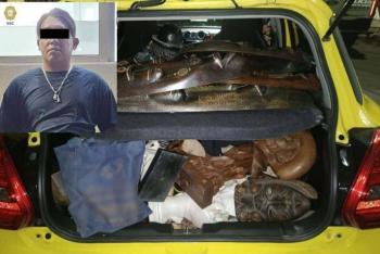 Detienen a hombre que rob&oacute; medio mill&oacute;n en piezas de arte en la colonia Roma