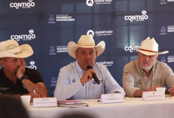 Acuerdan estrategias contra gusano barrenador ante aumento de casos