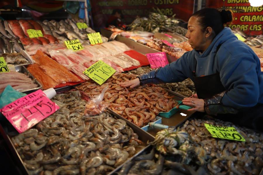 Profeco reporta precios de camar&oacute;n y pulpo para Cuaresma; consulta 'Qui&eacute;n es Qui&eacute;n en los Precios'