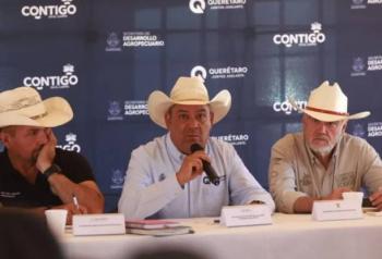 Acuerdan estrategias contra gusano barrenador ante aumento de casos