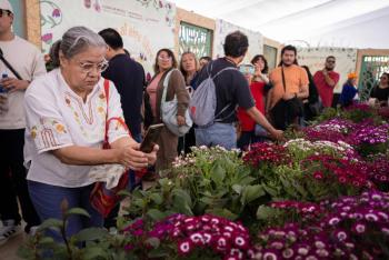 Festival de las Flores de Primavera y estima derrama econ&oacute;mica cercana al mill&oacute;n de pesos