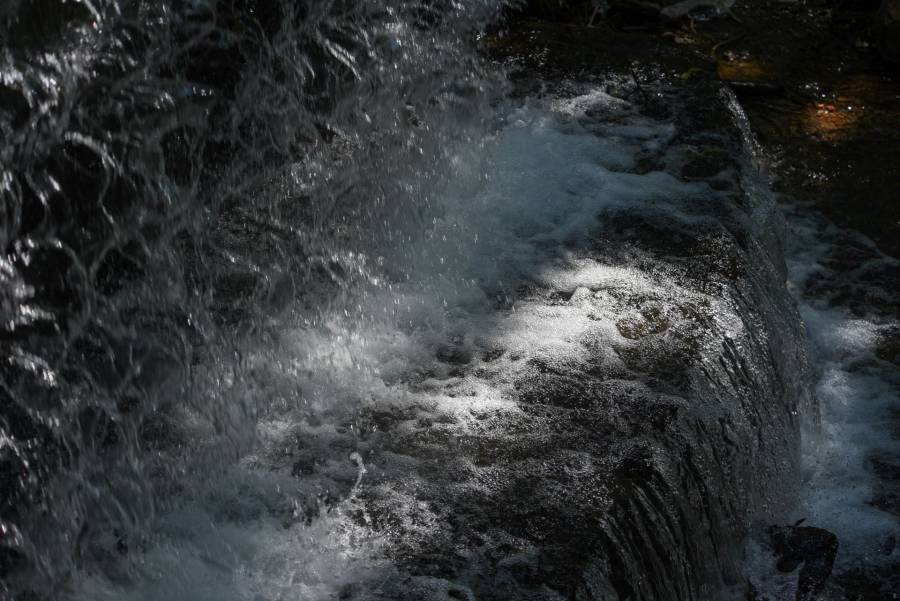 Municipio de Soledad realiza actividades educativas por el Día Mundial del Agua