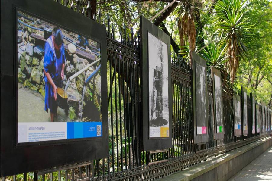 Exhibe Galería Abierta de las Rejas de Chapultepec 