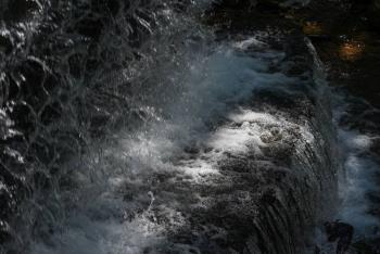 Municipio de Soledad realiza actividades educativas por el D&iacute;a Mundial del Agua