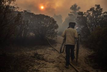 Aumentan incendios forestales en M&eacute;xico y advierten escenario cr&iacute;tico para 2026
