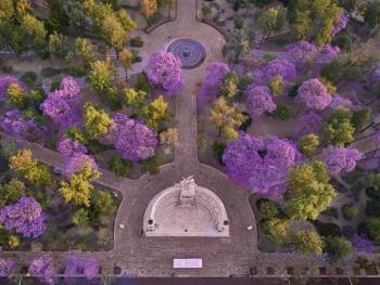 FYJA presenta Inmersiones FYJA 2026 Miradas del jard&iacute;n mexicano: casa, ciudad y territorio