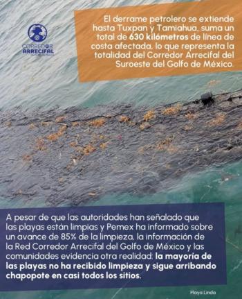 Atribuye mandataria a empresa privada derrame en el Golfo, pero descocen a&uacute;n cu&aacute;l fue