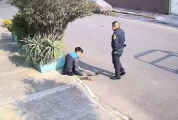 Suspenden a polic&iacute;a tras agresi&oacute;n a jardinero en calles de Coyoac&aacute;n