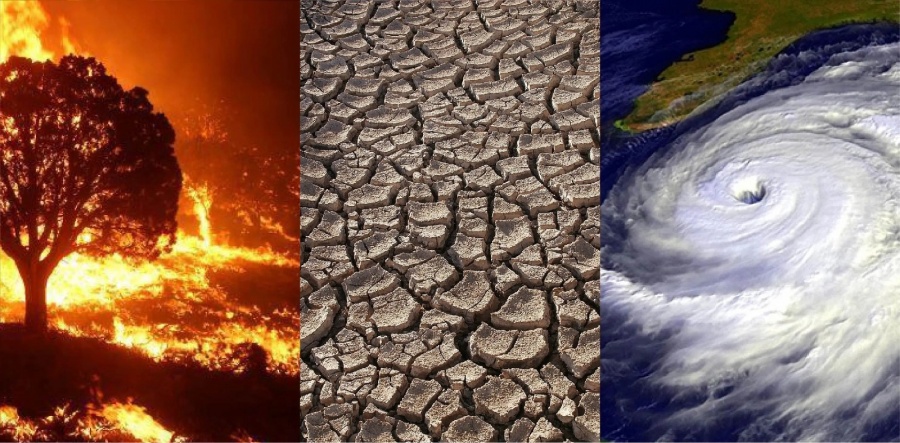 Cambio climático ya provoca efectos irreversibles en el planeta, advierte IPCC