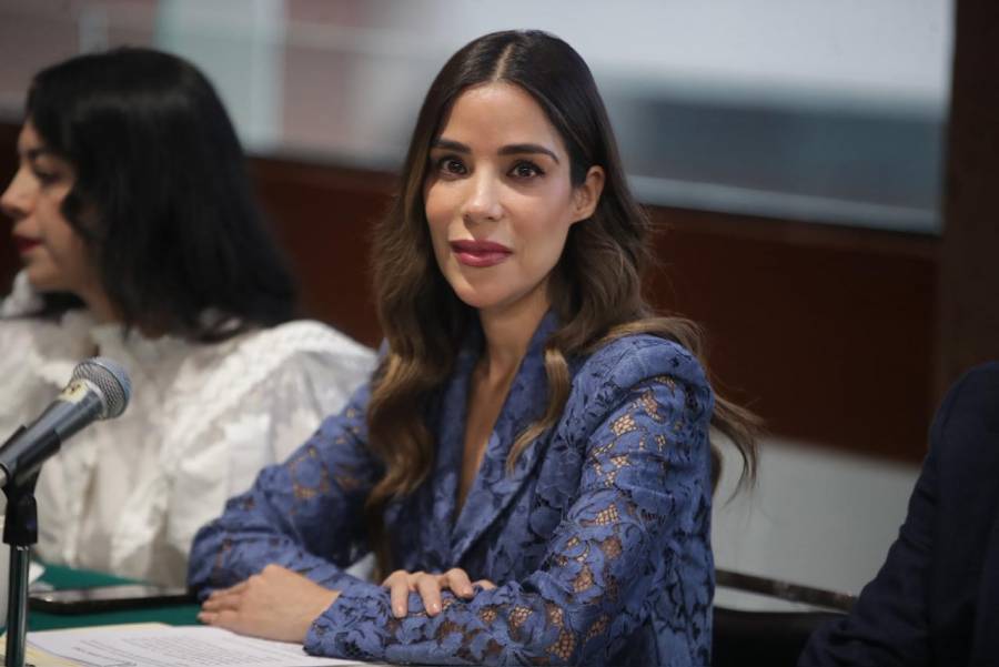 Urge legislar contra explotaci&oacute;n sexual de menores en entornos digitales: Karina Barreras