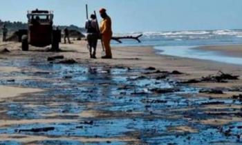 FGR investiga derrame de petr&oacute;leo en Veracruz; “hay causa penal”: Sheinbaum