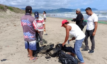 Persisten labores de limpieza en costas de Veracruz tras extenso derrame de hidrocarburos