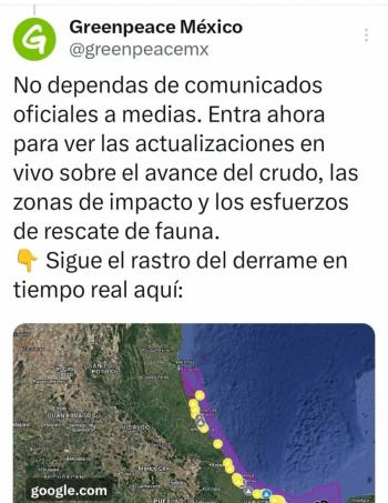 Greenpeace alerta por expansi&oacute;n del derrame en el Golfo y difunde mapa en tiempo real con zonas afectadas