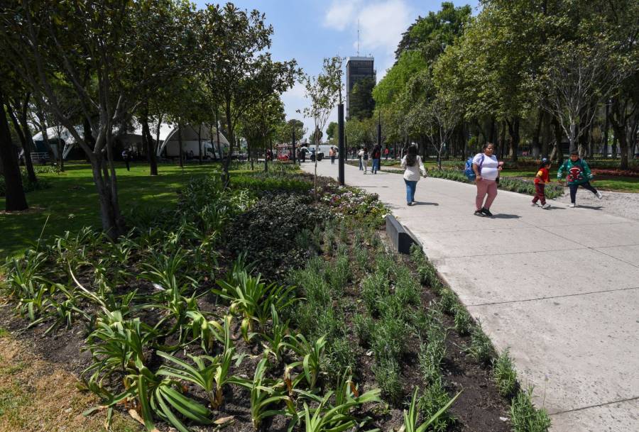 Se prevé jueves soleado y sin lluvias en CDMX y Edomex