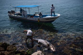 Suspenden actividad pesquera en Veracruz ante crisis ambiental