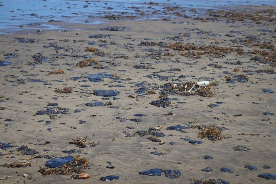 Earth Mission denuncia ocultamiento de derrame de hidrocarburo en Veracruz