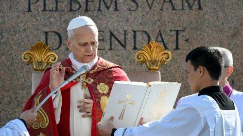 Papa León XIV llama a rechazar la violencia y proclama a Cristo como Rey de la paz en Domingo de Ramos