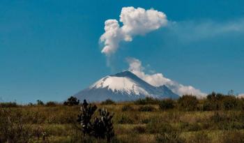 UNAM alerta: ceniza del Popocat&eacute;petl puede afectar la salud de perros y gatos