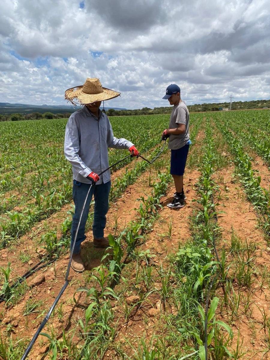 Aumento en insumos agr&iacute;colas presiona precios de alimentos y afecta a productores, advierte UNTA