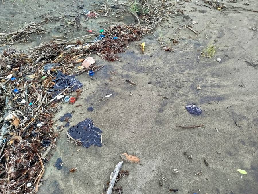 Derrame de hidrocarburos en el Golfo de México afecta más de 630 km de litoral
