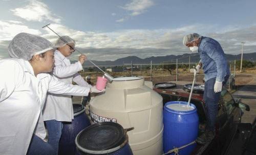 Centros de Acopio de Leche para el Bienestar operar&aacute;n sin interrupci&oacute;n durante Semana Santa 2026