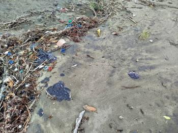 Derrame de hidrocarburos en el Golfo de M&eacute;xico afecta m&aacute;s de 630 km de litoral