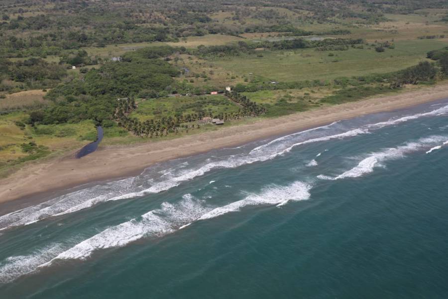 Grupo internacional informará avances de investigación por contaminación en el Golfo de México