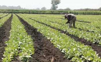 Aumento de fertilizantes y combustibles pega a productos agr&iacute;colas