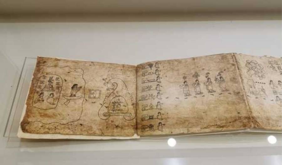 Exposici&oacute;n C&oacute;dices de M&eacute;xico en Hermosillo recibe m&aacute;s de 5 mil visitantes y analiza v&iacute;nculos con arte rupestre del norte
