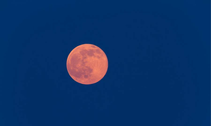 Luna Rosa ilumina el cielo y podrá verse esta noche en México