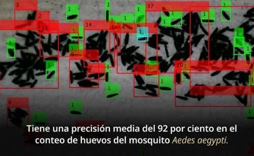 INSP desarrolla algoritmo EggCountATT para automatizar conteo de huevos del mosquito transmisor del dengue