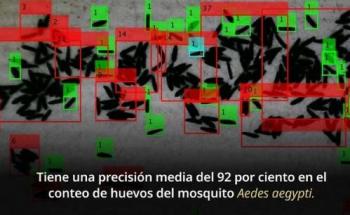 INSP desarrolla algoritmo EggCountATT para automatizar conteo de huevos del mosquito transmisor del dengue