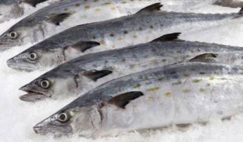Profeco reporta precio promedio nacional del pescado sierra en $125.30 por kilo durante Cuaresma