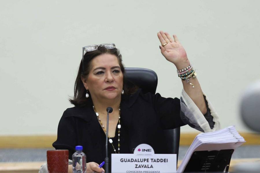 Directivos cercanos a Taddei buscan llegar al Consejo General del INE