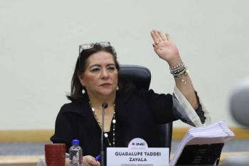 Directivos cercanos a Taddei buscan llegar al Consejo General del INE