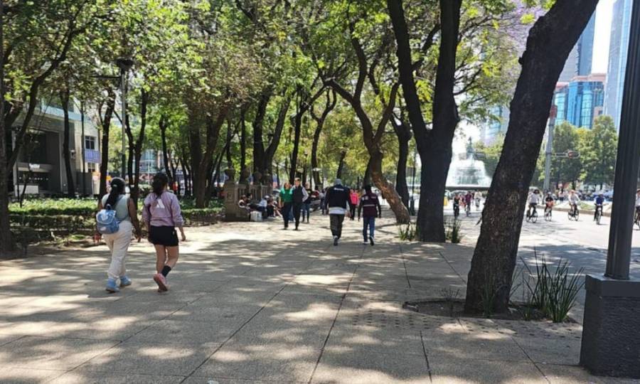 Gobierno de CDMX retira comercios ambulantes de Reforma