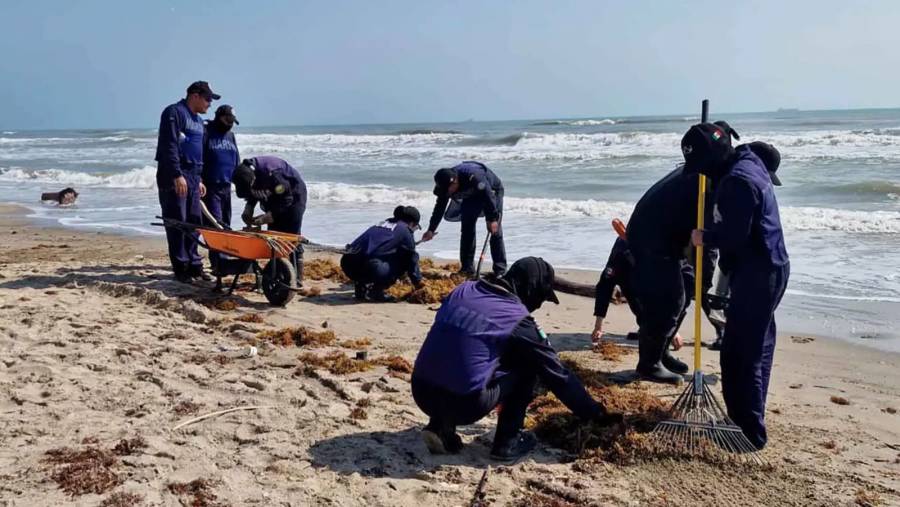 Sheinbaum revisará informe por derrame en el Golfo de México