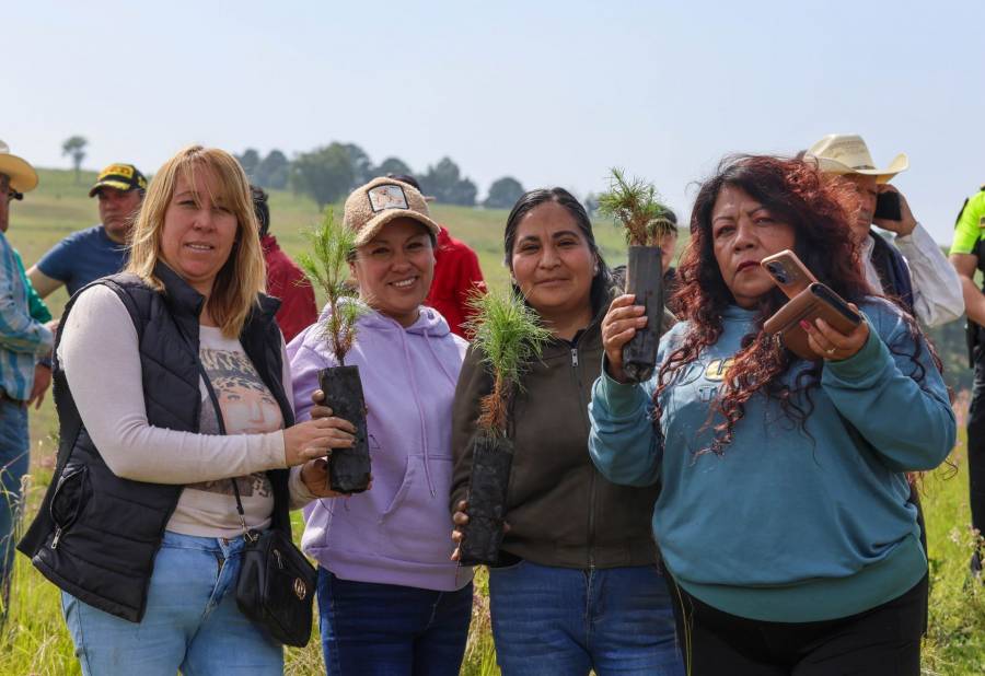 Soledad intercambia &aacute;rboles por basura electr&oacute;nica en programa municipal de reciclaje