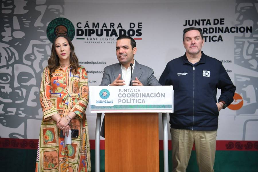 PAN en San Lázaro pedirá comparecencia de Pemex por derrame y de representantes de ONU por desaparecidos