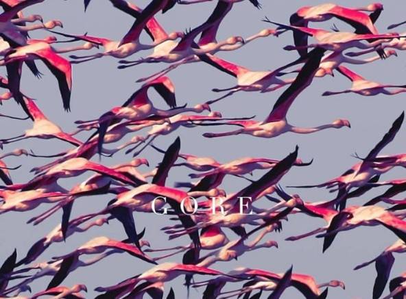 Gore, de Deftones, es yuxtaposici&oacute;n de sensaciones y m&uacute;sica.