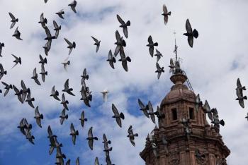 Circuito Cineteca lleva ciclo de cine mexicano contempor&aacute;neo a siete municipios de Michoac&aacute;n