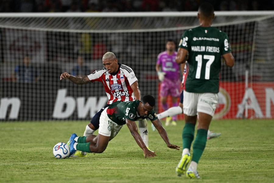 Un muerto en disturbios tras partido de Palmeiras en Colombia por Libertadores