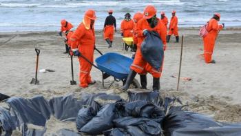 Comparecencia por derrame de hidrocarburos en el Golfo depender&aacute; de mayor&iacute;a legislativa: Monreal