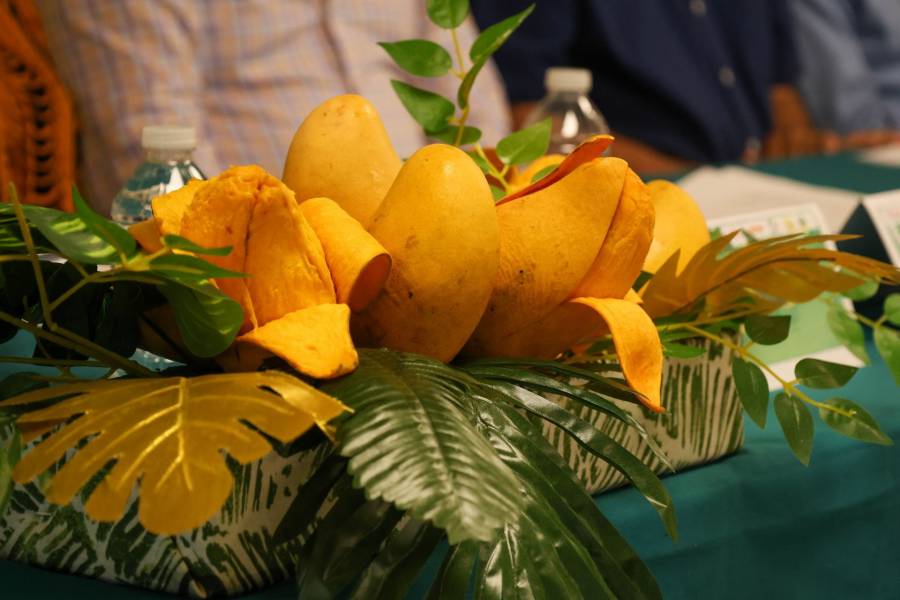 Profeco reporta precios de mango y naranja en su punto &oacute;ptimo de cosecha