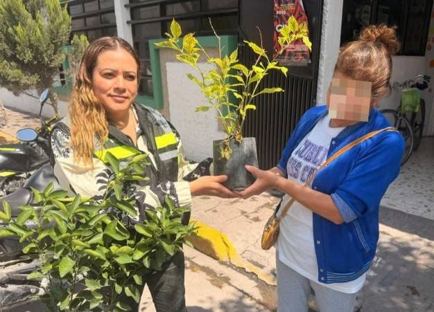 Soledad intercambia &aacute;rboles por basura electr&oacute;nica en programa municipal de reciclaje