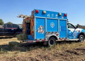 Detectan primer caso de gusano barrenador en perro en El Marqu&eacute;s