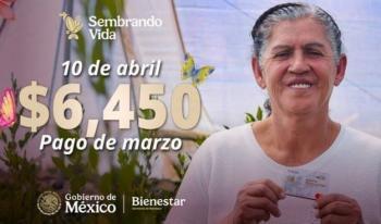 Sembrando Vida dispersa pago de marzo a m&aacute;s de 421 mil sembradores